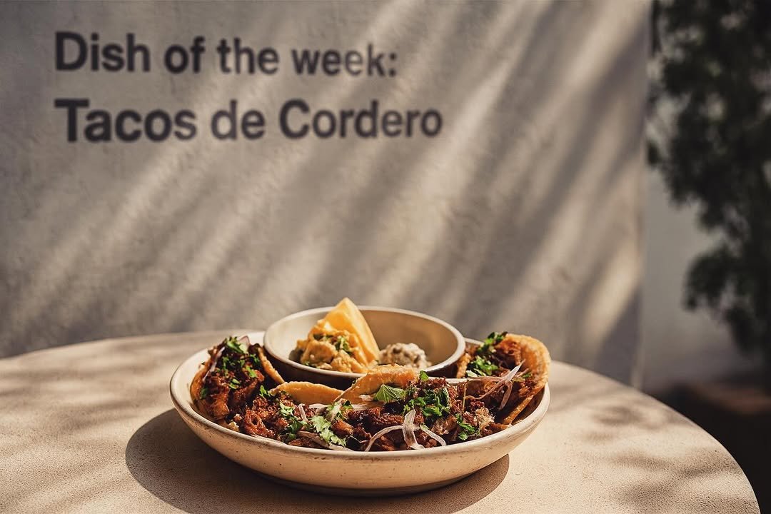 Lamb tacos, tacos de cordero